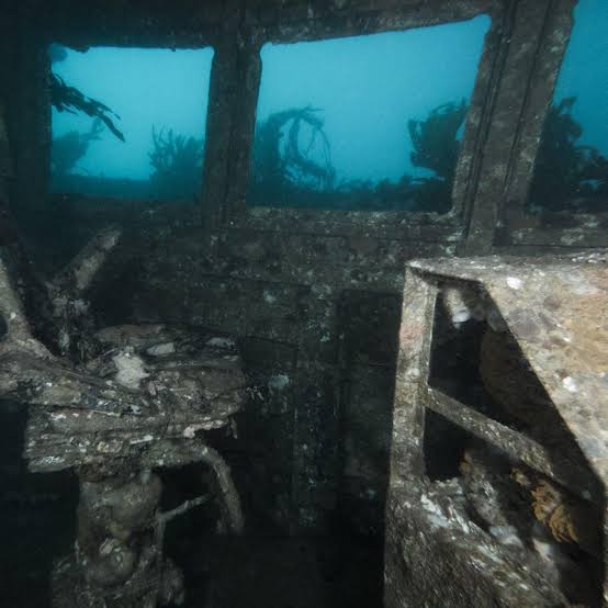 Ex-HMAS Canberra Wreck, Ocean Grove