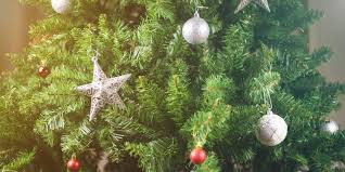 More images for how to make christmas tree last longer » How To Pick The Best Christmas Tree Ever