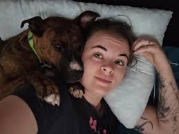 CARE STL Available Animals for Adoption, Foster & Rescue