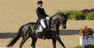 He and the stallion totilas, were triple gold medalists at the 2010 fei world equestrian games, becomi. Was Wurde Aus Dem Dressurpferd Totilas Mein Pferd Mein Freund