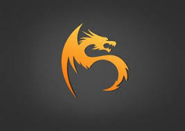 Logo Energi Fire Business Dragon Fire Symbol Icon Power Vect Logo Dragon Dragon Icon Dragon Artwork