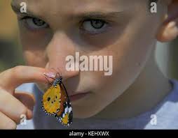 a young boy and a monarch butterfly Stock Photo