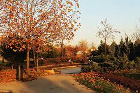 seka park izmit park country roads favorite places