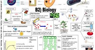 Revision Aid For Aqa B2 Gcse Biology Revision Biology Revision Igcse Biology