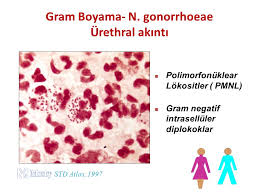 Donem Ii De Hepinize Basarilar Dilerim Ppt Indir