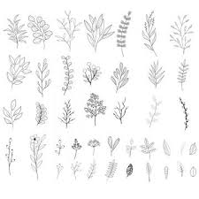 Aesthetic Black And White Flower Transparent Background Floral Flowers Hand Hand Drawn Spring Leaves Garden Sketch Decoration Ink Drawing Elements How To Draw Hands Hand Drawn Leaves Flower Line Drawings