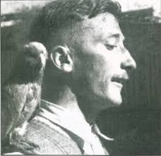 The Best American Poetry: Australia