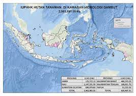 A tool for tamil translation from english to tamil powered by google. Indonesia The Trail Of Destruction Behind A Sheet Of Paper Wrm In English