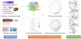 Proteine atlas rat / rer dr jastrow s em atlas : Ijms Free Full Text Uncovering The Pharmacological Mechanism Of Stemazole In The Treatment Of Neurodegenerative Diseases Based On A Network Pharmacology Approach Html