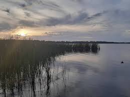 Check out tripadvisor members' 4,020 candid photos and videos of landmarks, hotels, and attractions in lake maggiore. Lake Maggiore Park Dr M L K Jr St S St Petersburg Fl 33712 Usa