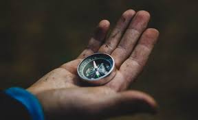 It grows best on the north side. How To Find Your Direction In The Woods Without A Compass