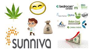 Will This Cannabis Stock Be The Next Aurora Cannabis We Take A Look At Sunniva