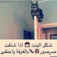 pin on حالي