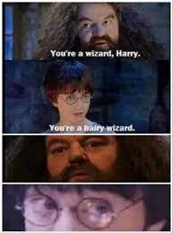 Submitted 1 month ago by billybobjoe102. Dopl3r Com Memes Youre A Wizard Harry Youre A Hairy Wizard