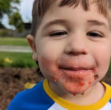 Ascension Parish Beekeeper's Association