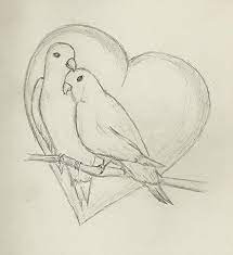 Pin On Birds