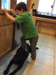Résultat de recherche d'images pour "sarah palin child stands on dog"