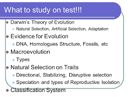 Traits become more common, while in natural selection, the environment affects. What To Study On Test Darwin S Theory Of Evolution Natural Selection Artificial Selection Adaptation Evidence For Evolution Dna Homologues Structure Ppt Download