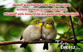 Image result for birds quotes