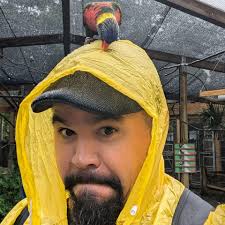 Has anybody had experience with the Laney Digbeth DB500H with a 2x12 cab  for bass?