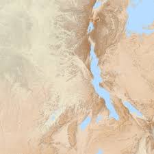 Image result for Athroisma gracile