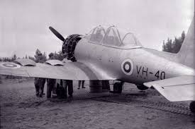 Image result for suomen ilmavoimat