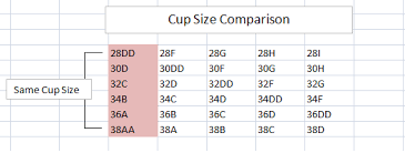 bra sizing 101 how to find your size bra fittings by court