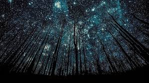 Un paisaje nocturno de un campo en el que de vez en cuando puedes ver alguna estrella fugaz y luciérnagas. Cielo Nocturno Hd Pantalla Ancha Para Escritorio Fondo De Pantalla Hd Wallpaperbetter
