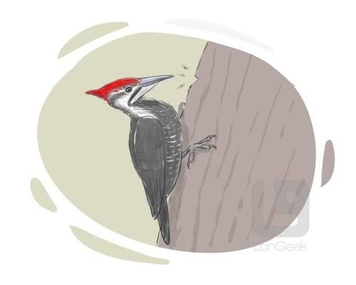 Definition & Meaning of "Pecker" in English | Picture Dictionary 🇬🇧
