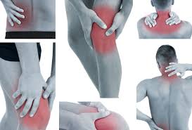 Item 1 of 3 is selected. Chronic Pain Articles Dis Chem