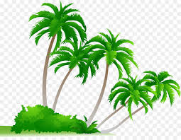 Coconut Tree Drawing Png Download 3528 2699 Free Transparent Arecaceae Png Download Cleanpng Kisspng