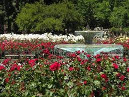 San Jose Municipal Rose Garden Garden Rose Garden San Jose California