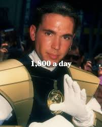 The bishop ponies. These two mares are now safe and under veterinary care.  💖