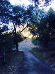 Statistiques et évolution des crimes et délits enregistrés auprès des services de police et gendarmerie en france entre 2012 à 2019 36 Briones Regional Park Martinez Ca Ideas Hiking Spots Valley Road Martinez
