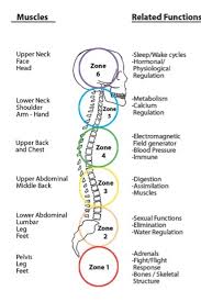 Brennan Healing Science Creative Journey Healings