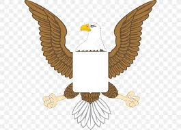 Bald Eagle United States Clip Art Png 600x588px Bald Eagle Accipitriformes American Eagle Outfitters Beak Bird Free download 40 best quality american bald eagle clipart at getdrawings.