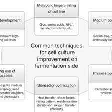 Technology via invited reviews/overviews and the. Pdf Mammalian Cell Culture Technology An Emerging Field