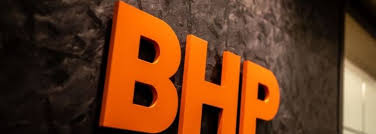 How many bhp group (asx:bhp) shares do institutions own? Bhp Group Plc Bhp Dividends
