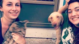 Fundraiser for Andrea Hall by Jess Newton : Finn Gets Adopted!