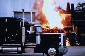 We did not find results for: Bild Von Black Dog Bild 9 Auf 10 Filmstarts De