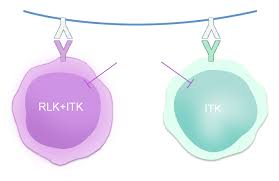 OUR SCIENCE_Angel Pharmaceuticals