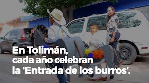 All for free at mobifriends, with an attractive design. La Entrada De Los Burros En Toliman Jalisco Youtube