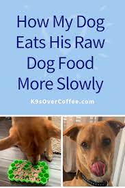 How To Make Your Raw Fed Dog Eat Slower Dog Slow Feeders K9sovercoffee Healthy Dog Food Recipes Raw Dog Food Recipes Dog Food Recipes