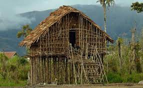 Berbagai variasi rumah adat tersebar di seluruh demikian penjelasan mengenai beberapa rumah adat papua dari berbagai suku yang menempatinya. Rumah Adat Papua Gambar Penjelasan Mengenai Keunikannya