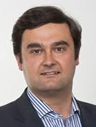 Schienenbahnen, Fachverband