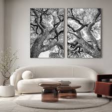 Image result for Newtonia hildebrandtii