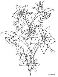 Realistic Flower Coloring Pages Az Coloring Pages Flower Drawing Flower Coloring Pages Flower Line Drawings