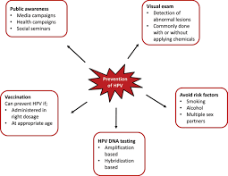 If you have hpv, developing cervical cancer is far from a certainty. Preventive Strategies Against Human Papillomaviruses Intechopen