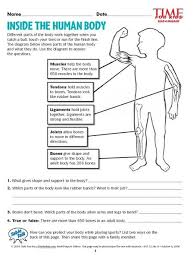 3rd Grade Human Body Worksheets Inside The Human Body Lesson Plan For 2nd 3rd Grade In 2020 Human Body Worksheets Human Body Lesson Plans Human Body Lesson