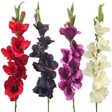 96cm Artificial Gladiola Gladiolus Flower Stem Choose Colour From List View More On The Link Http Www Gladiolus Flower Artificial Flowers Gladiolus